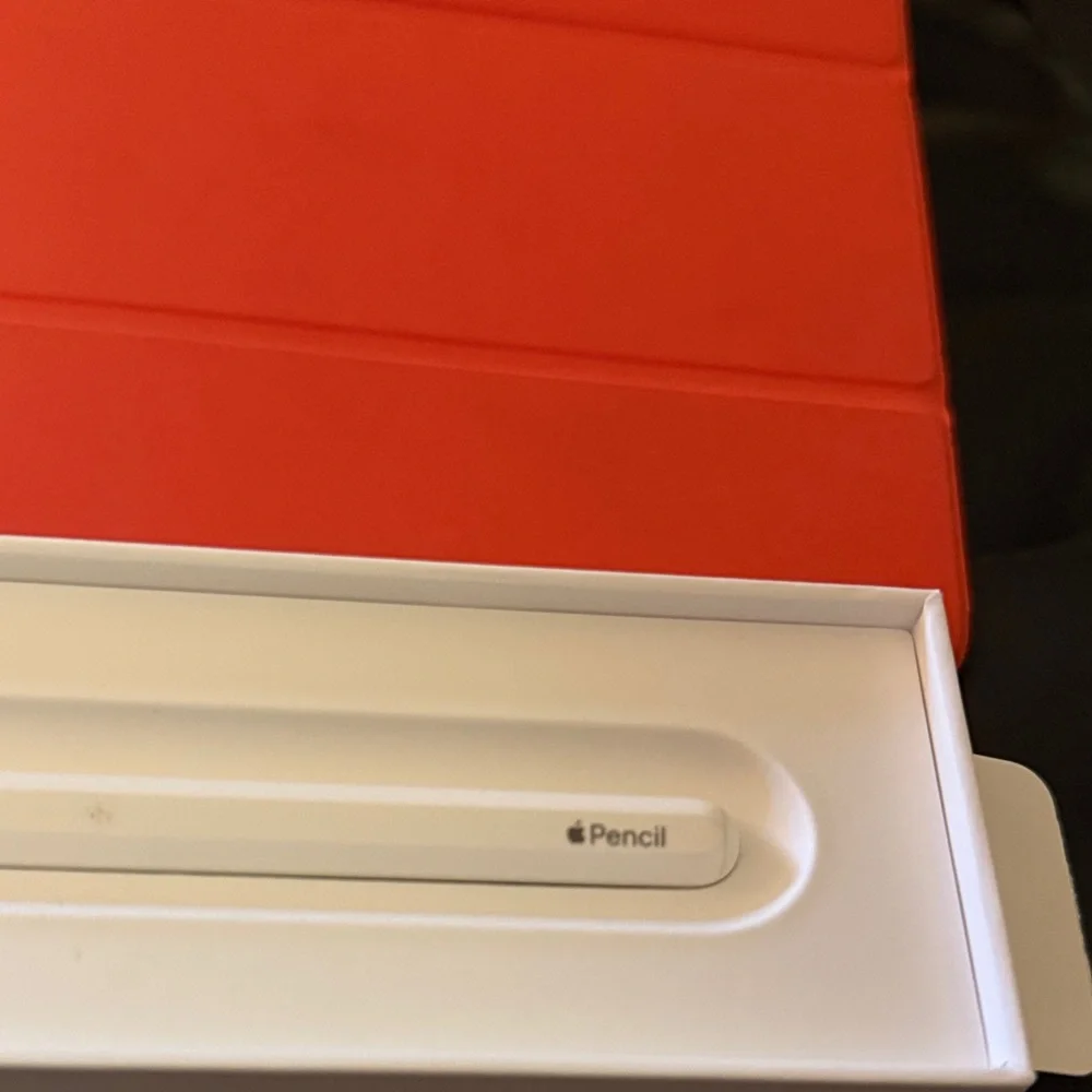 Apple iPad Mini Case with Apple Pencil